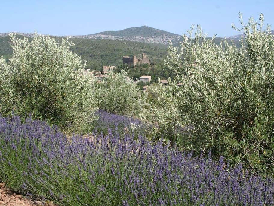 Bergerie Marcel Durban-Corbieres Exterior foto